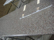 Kahverengi Katı Granit Tezgah Yüksek Mukavemetli Doğal Granit Hammadde