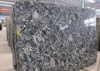 Çalışma Top, Yüksek Sertlik Granit Taş Levhalar İçin Mozaik Siyah Granit Döşeme