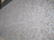 GranitE G383 Malzeme Bianco Antico Granit Döşeme Gri Çiçek İnci Rengi