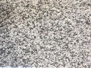 Yeni G439 granit tezgahı Gri Granit Plakalar / Cilalı Levhalar Özel Boyut